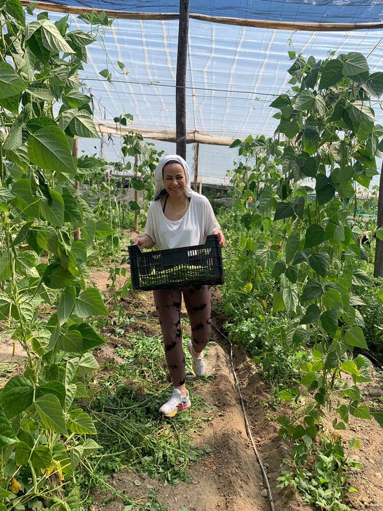 LAIAL e. V., Frau im Geächshaus hat geerntetes Gemüse in der Hand